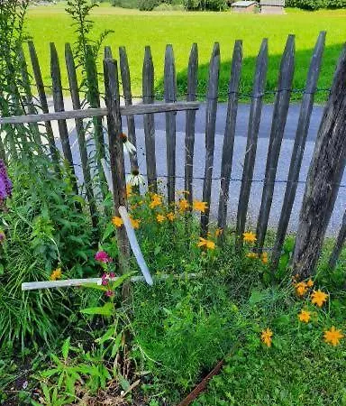 Alpenblume * Stockach