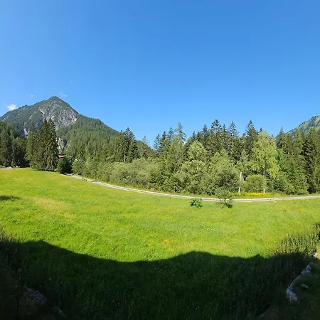 Alpenblume Stockach