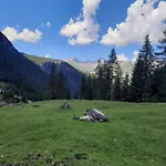 Alpenblume *
