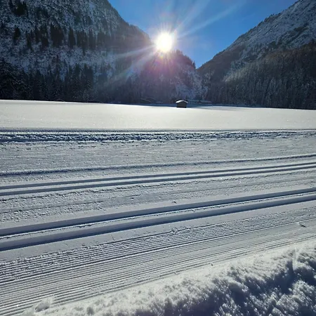 Alpenblume *
