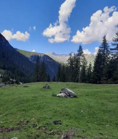 Alpenblume *